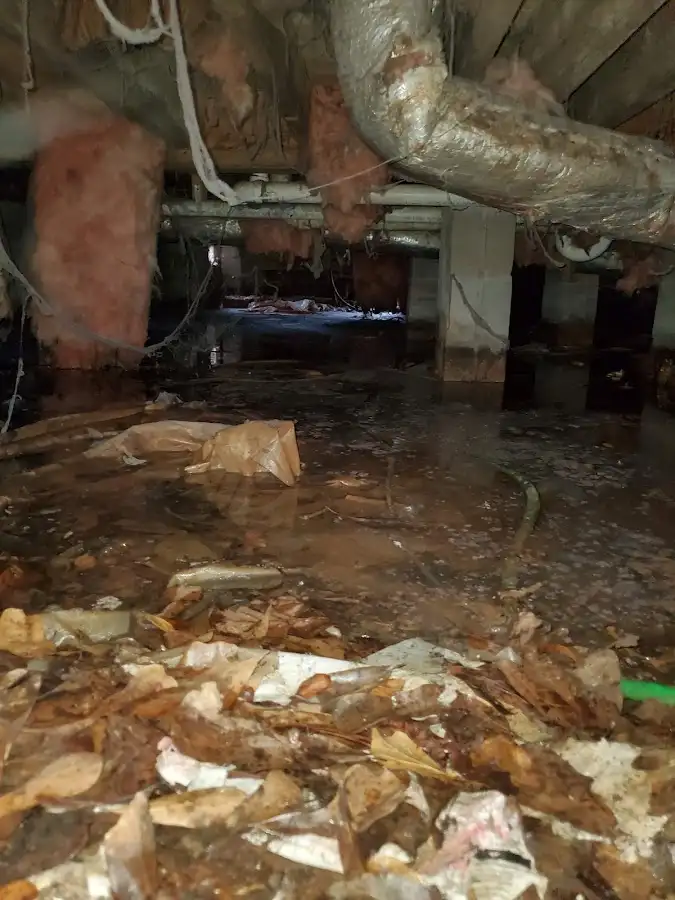 Crawl space flood assessment for Commercial Water Damage Restoration in North Versailles